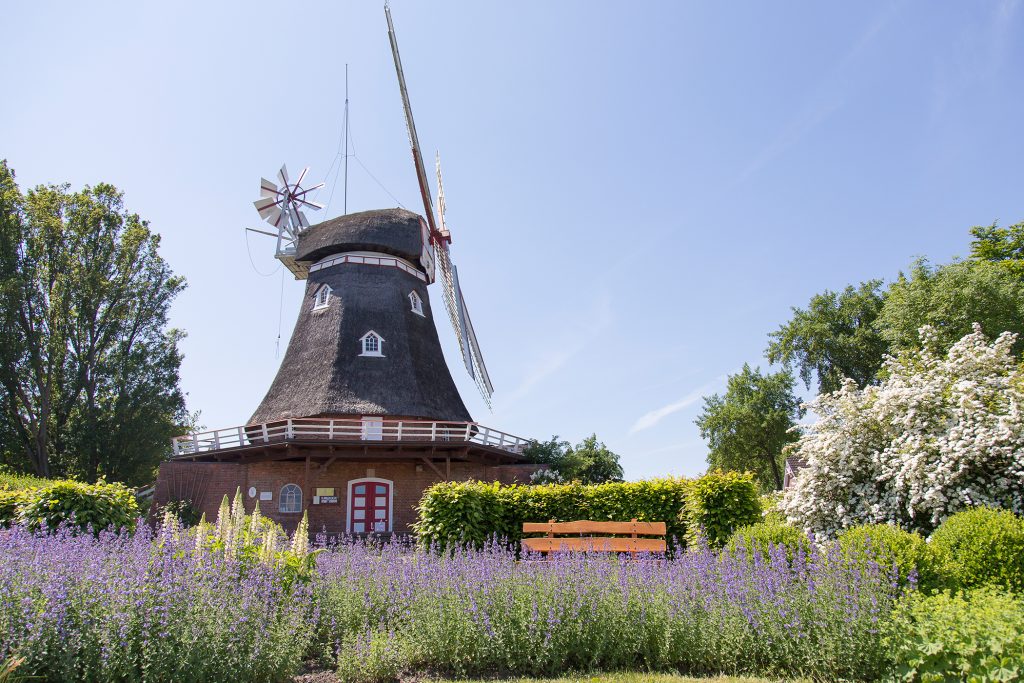 Windmühle Bederkesa